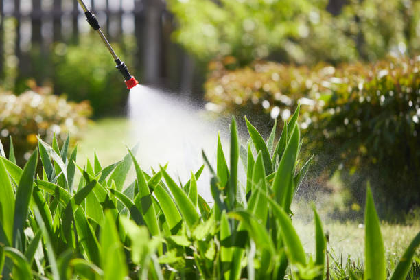24/7 Emergency Wasp Removal experts in Waukesha, WI