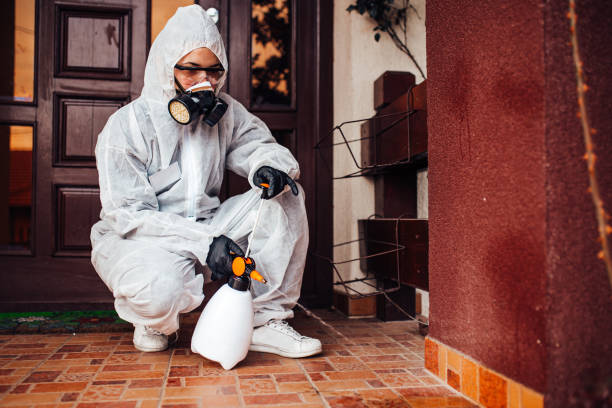 Reliable Wasp Removal contractor in Waukesha, WI by Show Me Pest Control